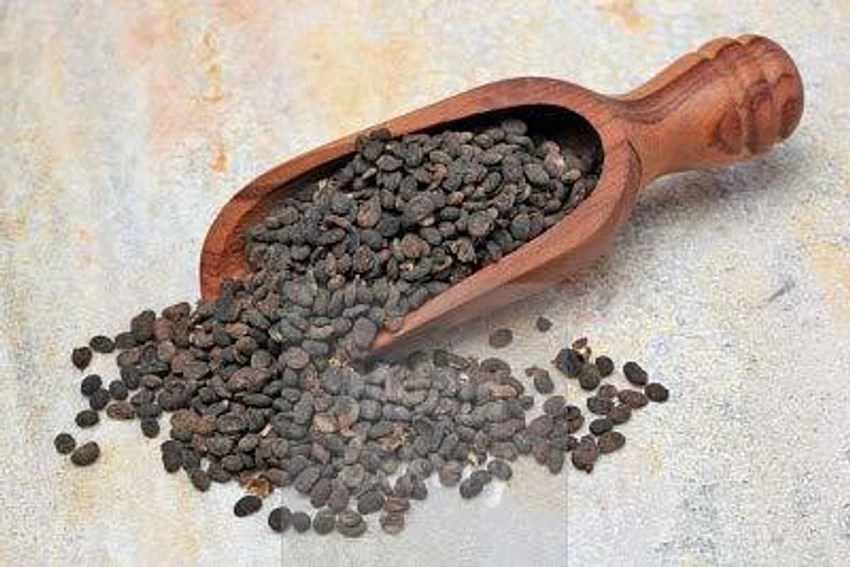 Babchi (Psoralea Corylifolia)